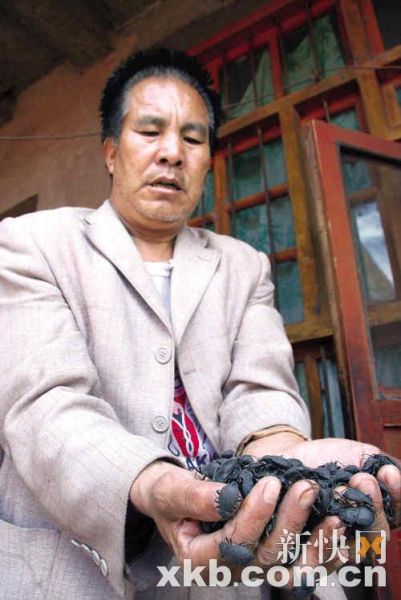 興隆村肺癌患者王建有因經(jīng)濟(jì)困難，吃活臭蟲治療肺癌。