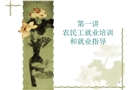 農(nóng)民工就業(yè)培訓(xùn)和就業(yè)指導(dǎo)