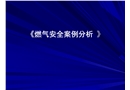 燃?xì)獍踩咐治? width=