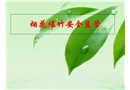 煙花爆竹安全監(jiān)管分析
