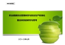 職業健康安全管理體系與安全生產標準化整合體系的研究與思考