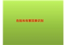 危險有害因素識別和安全對策