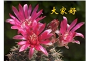煤礦安全形勢及管理