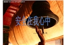 交通安全在我心中