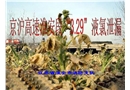京滬高速淮安段“3.29”液氯泄漏特大事故搶險(xiǎn)救援