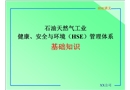 石油天然氣工業健康、安全與環境（HSE）管理體系基礎知識