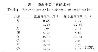 微信圖片_20200430150155.jpg