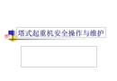 塔式起重機(jī)安全操作與維護(hù)