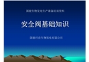 安全閥基礎