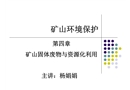 礦業固體廢物與資源化利用
