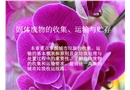 固體廢物的收集、運輸與貯存