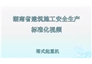 建筑施工安全生產標準化系列視頻教程-塔式起重機