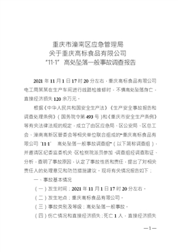 重慶高標(biāo)食品有限公司“11·1”高處墜落一般事故調(diào)查報告