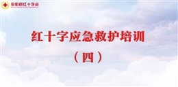 應(yīng)急救護培訓 第四課 常見疾病和意外傷害的救護