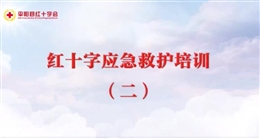 應(yīng)急救護培訓 第二課 創(chuàng)傷維護