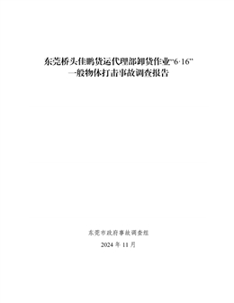東莞橋頭佳鵬貨運代理部卸貨作業“6·16”一般物體打擊事故調查報告