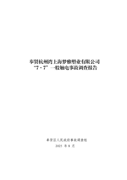 奉賢杭州灣灣上海夢雅塑業(yè)有限公司“7.7”一般觸電事故調(diào)查報告
