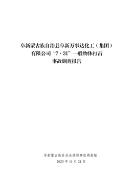 阜新蒙古族自治縣阜新萬事達化工（集團）有限公司“7·31”一般物體打擊事故調查報告