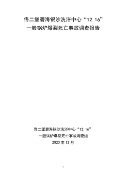 佟二堡碧海銀沙洗浴中心“12.16”一般鍋爐爆裂死亡事故調查報告