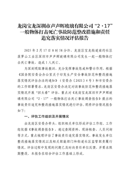 龍崗寶龍“2·17”一般物體打擊死亡事故防范整改措施和責(zé)任追究落實(shí)情況評估報告